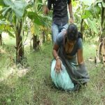 Filtro de tías Timil de azul lyxx.com.se