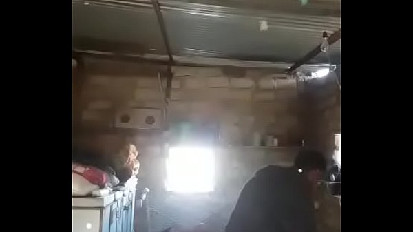 Vídeos de pollo Xnxx.com.se