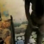 XXX Van y Bii · nxx.com.se