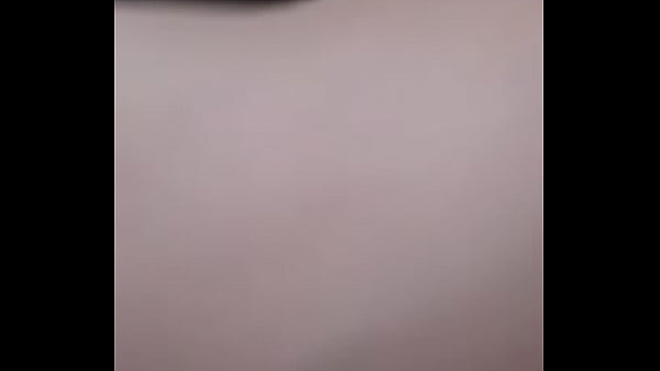 Modelo Modelo obtiene BFRN